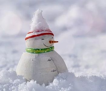 What should a snowman's nose be: a button, a carrot, or something else?