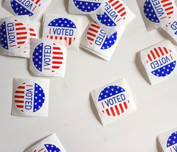 How did you - or will you - physically vote in the presidential election this year?