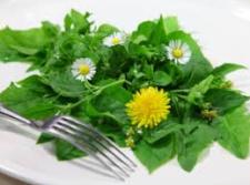 Some weeds, like dandelion, Japanese Knotweed and Cattails are healthy to eat. Have you or would you eat edible weeds?