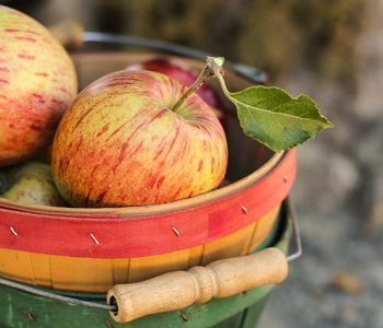 It's apple season! What are your favorite apple treats to make and/or eat?