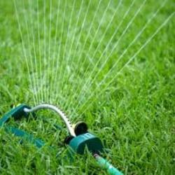 This summer has been an extremely hot one for most of the country, with droughts in many places. Have you been watering your lawn?
