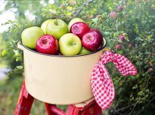 In many parts of the country, October is a great month to visit farms to pick-your-own apples or pumpkins. What do you like to pick-your-own? 