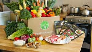 Hello Fresh Classic Food Box Review | SheSpeaks